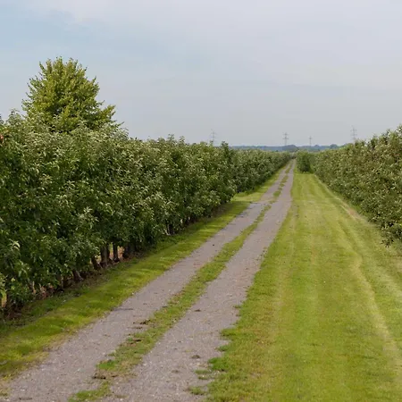 Maisonettenwohnung Apartment Steinkirchen (Lower-Saxony)